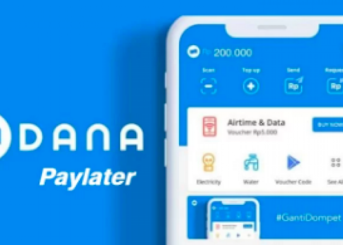 Panduan Lengkap Mendapatkan DANA PayLater, Nikmati Kemudahan Berbelanja Online
