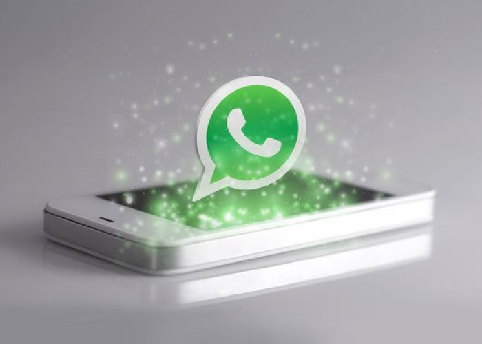 Fitur Whatsapp Proxy Chatting Tanpa Internet, Begini Caranya