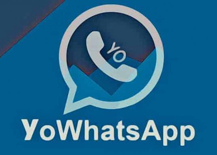 Link Download Yo WhatsApp Apk Resmi, Versi Terbaru November 2023!