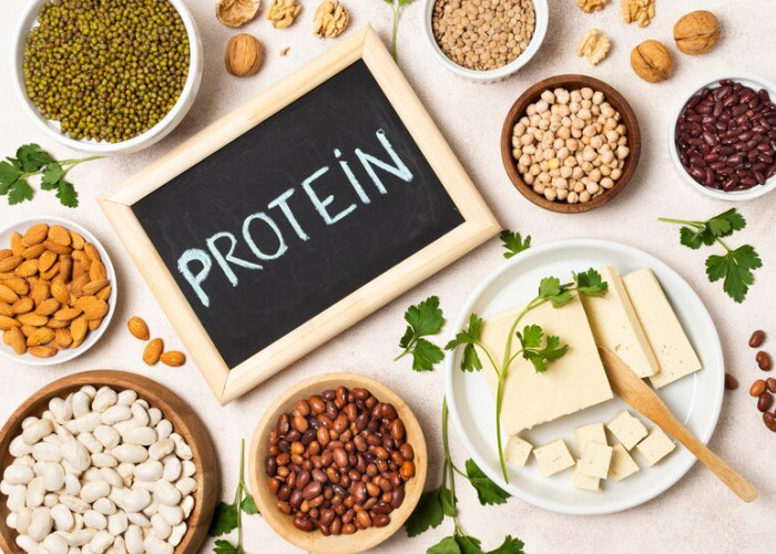 Makanan Diet Tinggi Protein: Panduan Sehat untuk Meningkatkan Kesehatan dan Kondisi Fisik