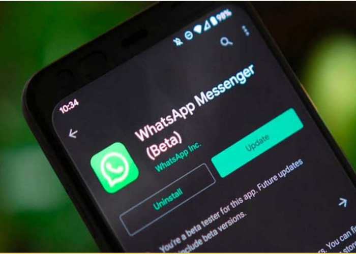 Link Download WhatsApp Beta, Fitur Lebih Keren daripada Versi Penyempurnaan