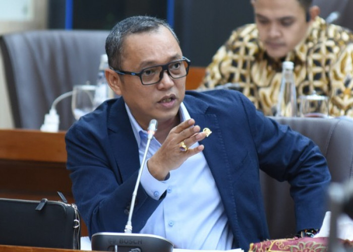 Deddy YH Sitorus Sebut Budiman Sudjatmiko dari Aktivis Kini Jadi Ahli Kosmetik Bagi Prabowo Subianto