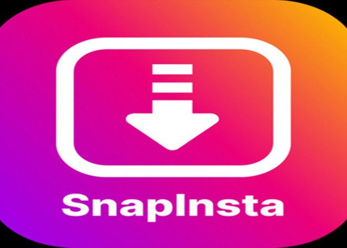 SnapInsta, Bisa Download Video IG Story Tanpa Aplikasi, No Watermark Gratis 