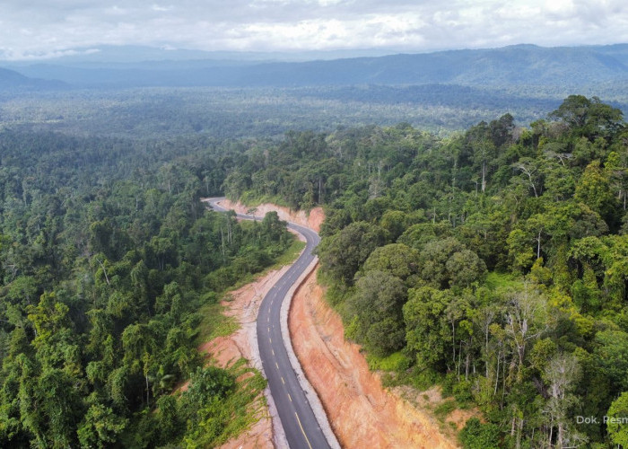 Rampungkan Pembangunan Jalan Muri - Kwatisore Lebih Cepat, Hutama Karya Buka Akses Konektivitas di Papua Barat