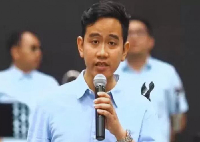 Buntut Beri Dukungan, Bobby Nasution Dipecat PDI Perjuangan, Komentar Gibran: Ya Kita Hormati Saja