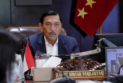 Jokowi Tunjuk Luhut untuk Atasi Minyak Goreng, Yan Harahap: Dia Lagi Dia Lagi