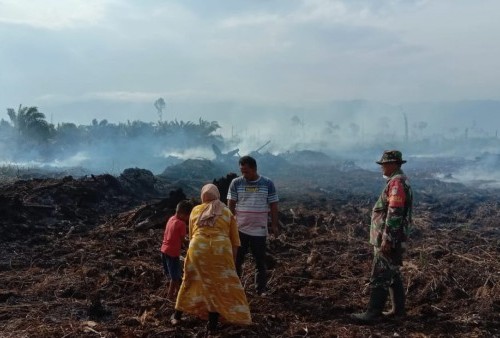 Api Bakar Hutan dan 3 Hektar Lahan Gampong Aceh Selatan, Penyebabnya...